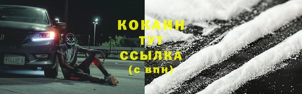 гашик Аркадак
