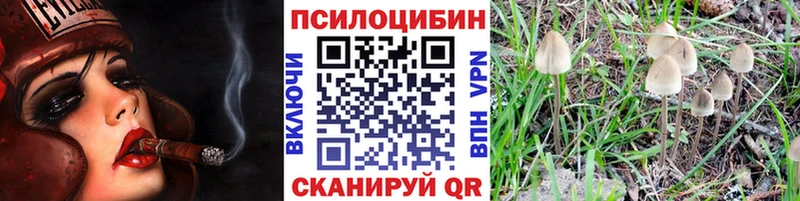 Псилоцибиновые грибы Magic Shrooms  blacksprut ссылки  Пустошка 